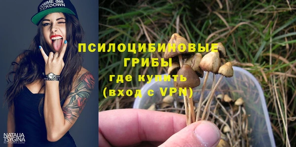 метамфетамин Алексин