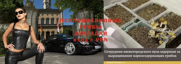 соль ск Алексеевка