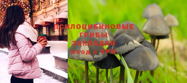 соль ск Алексеевка