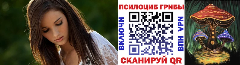 наркошоп  Аргун  Псилоцибиновые грибы Psilocybine cubensis 