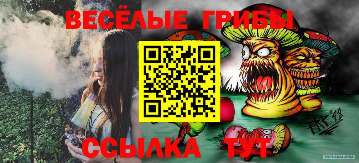 Псилоцибиновые грибы GOLDEN TEACHER Аргун