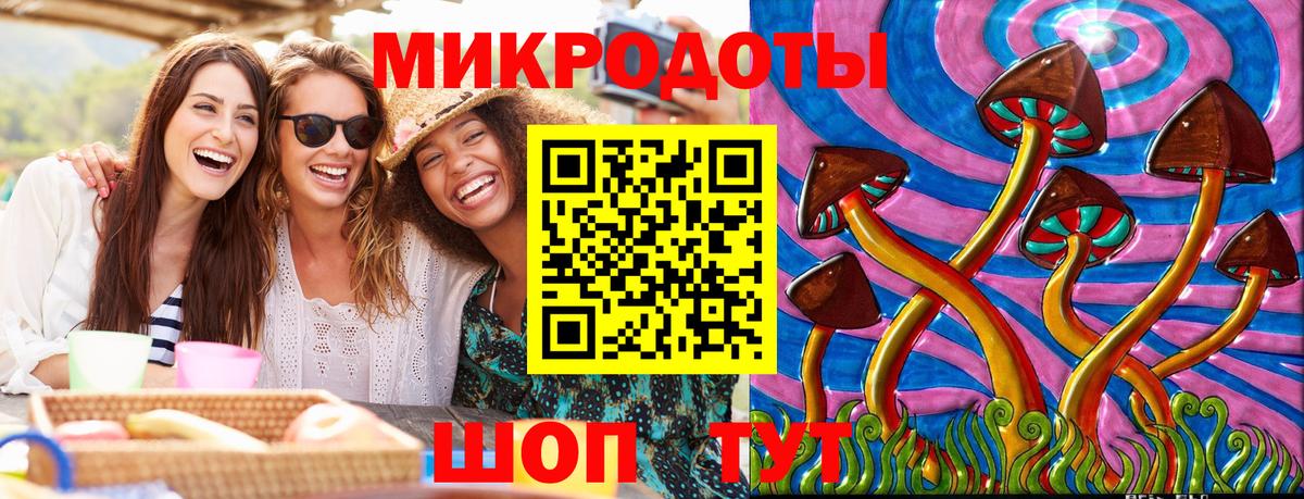 Псилоцибиновые грибы Psilocybe Аргун