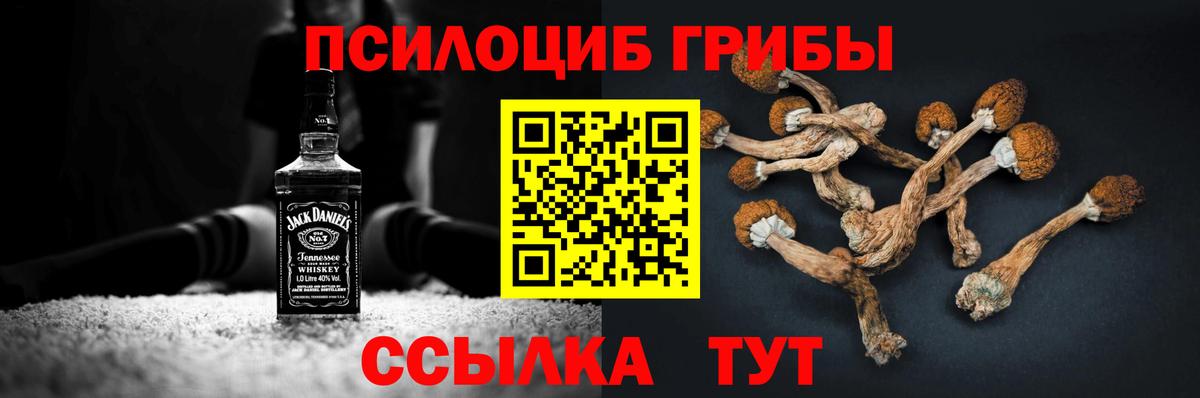 Галлюциногенные грибы Psilocybine cubensis  Вход с VPN  Псилоцибиновые грибы GOLDEN TEACHER  Аргун 